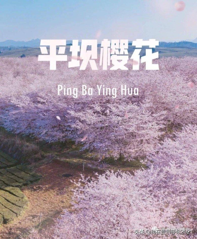 lpl买押注那个app靠谱点的